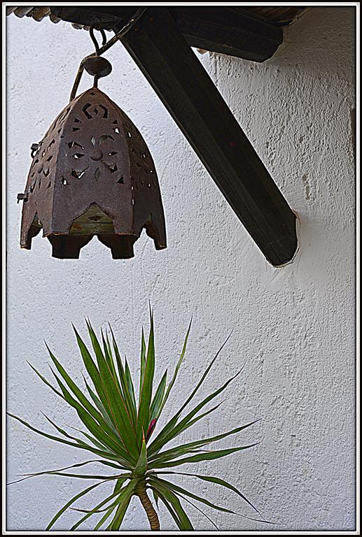 La Carrihuela Guest House Algodonales Exterior foto