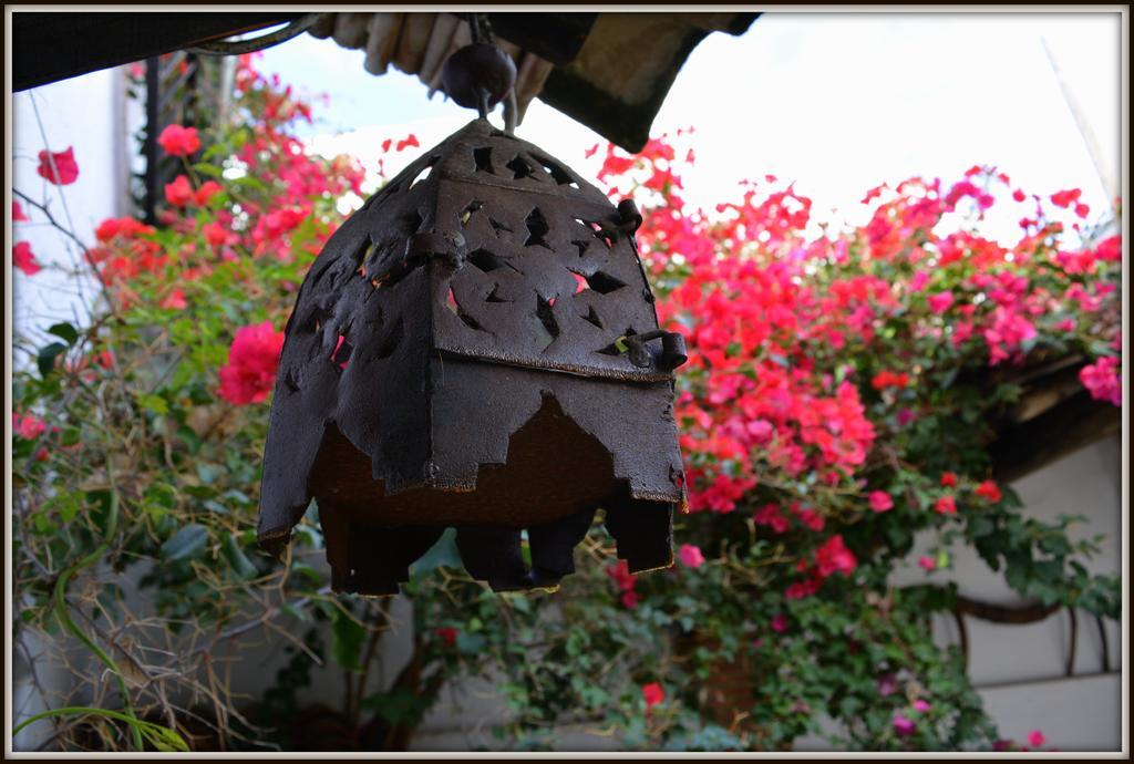 La Carrihuela Guest House Algodonales Exterior foto